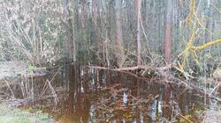 IMG_20260430_132839_560.jpg