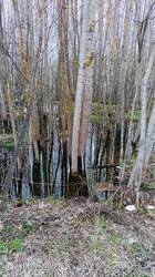 IMG_20260430_133712_816.jpg