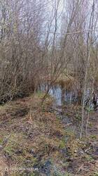 IMG_20260430_133746_487.jpg