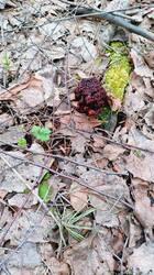 IMG_20260430_154149_144.jpg