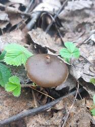IMG_20260430_211739.thumb.jpg.1a635b996ae7637a2a72a64019f85a3b.jpg