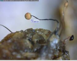 a002.thumb.jpg.2b7ae71155cf7d84541955ac89becbe0.jpg