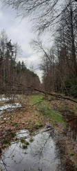 image.thumb.png.bc2ad5645096c325245ce17ace030dda.png