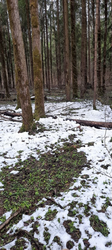 image.thumb.png.f17f3a5eea768e37675930fd427349b9.png