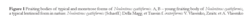 117640486_2026-05-2709_43_53-ZmitrovichinVlasenko_et_al_Botanica_Pacifica.pdf-AdobeAcrobatReader(64-bit).thumb.png.bb67d8dd7390b8853cae3a9460a9a7d7.png