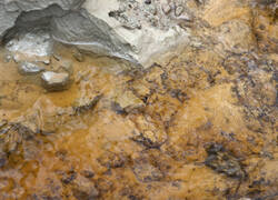 1400_DSC7568.thumb.jpg.9ab0833819b7091bfcd079338da9dcad.jpg