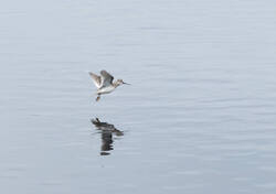 1400_DSC8135.thumb.jpg.a172047a0e063515e41fc44947f3a612.jpg