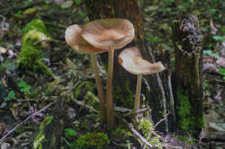 DSC08297а.jpg
