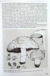 172639.thumb.jpg.e67d93dc9c8e8a508898e965b94c117f.jpg