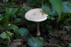 1749718426_26-05-22-_(6).thumb.JPG.148bd90a20e8329bf208679f71a038d1.JPG