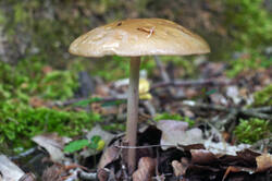 DSC08151а.jpg
