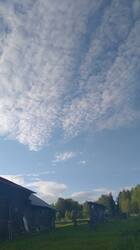 20220607_192257.jpg