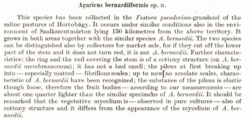 2026-05-24_20_02_27-Annals_HNHM_1975_Vol_67_37.pdf_-_Adobe_Acrobat_Reader_(64-bit).thumb.png.8886312d06844ae7053db856c5376a4f.png