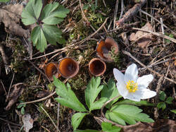 20260427-TAGE0026.thumb.jpg.5878e3decef29ab1e1a5c5c7b8d1ce61.jpg