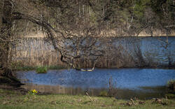 20260502-M3JR0018.thumb.jpg.746bed2e8bd97224eb7019de6a0af4cd.jpg