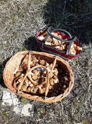 20260503_105735.jpg