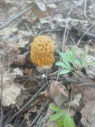 20260503_175045.jpg