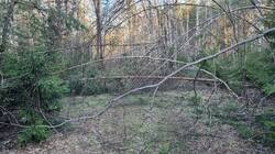 20260505_060743.thumb.jpg.b24b6867914613483f9731bcef06c3ee.jpg