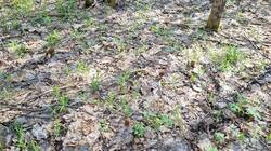 20260505_081328.thumb.jpg.08eeb4816dead3ba21c3f717f86c2584.jpg