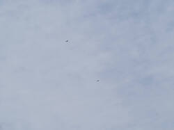 20260510-M3JR0184.thumb.jpg.5af9d44a58b3c8f0022108d5548df31a.jpg