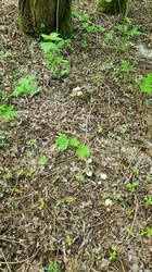 20260514_080838.thumb.jpg.6f67c209f06aedddd216ba9bee5ce9ba.jpg
