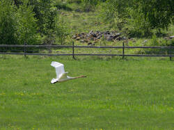 20260522-MRK34500_DxO.thumb.jpg.c837c89238ec3a822c27f713da1a90fb.jpg