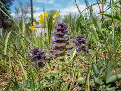 20260522-TAGE0006.thumb.jpg.8d58eb90950389b6ad78b32c71764324.jpg