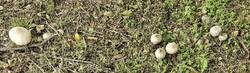 20260528_085704.jpg