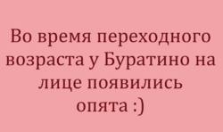 203475333_scale_2400(3).thumb.png.96bb59a222ba02d5b469f5d5cda6d56f.png