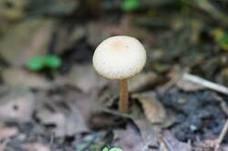 239365736_26-05-20-_(2).thumb.JPG.26a05a011e6ee6da203081b94606c4dd.JPG