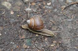 26-05-23.thumb.JPG.5de3cbc1e926b3f96103f2796c4575ba.JPG