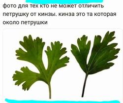 3027849.jpg