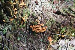 336417041_26-05-04-.thumb.JPG.54445ffaac4517a5106e8a0db8d41eab.JPG