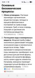 Биохимические процессы.jpg