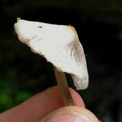 393230343_068.thumb.jpg.78e8e459be45038a164e8a3ef9e7c871.jpg