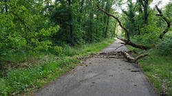 DSC05396.thumb.JPG.aef8a5fb689db0ee1e5810e2696ba0fa.JPG