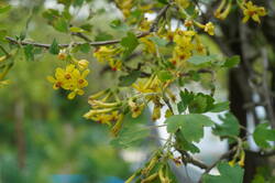 DSC08048.JPG