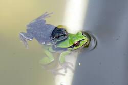DSC08115.jpg