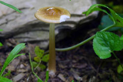 DSC08151.jpg