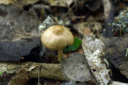 DSC08156.jpg