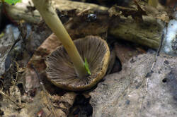 DSC08157.jpg