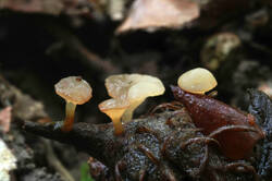 DSC08174.jpg