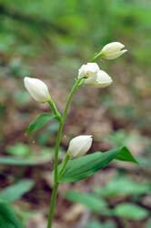 DSC08226.jpg