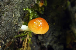 DSC08251.jpg