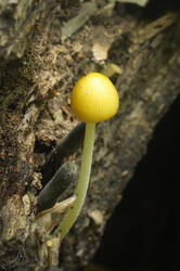 DSC08252.jpg