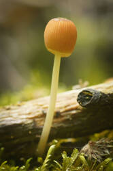 DSC08253.jpg