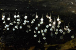 DSC08260.jpg