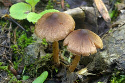 DSC08296.jpg