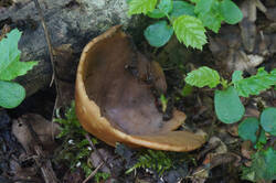 DSC08299.jpg