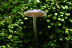 DSC08312.jpg
